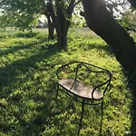 Il Mio Gelso Villanova d'Asti