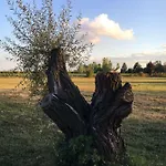 Il Mio Gelso Bed and breakfast Villanova d'Asti
