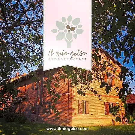 Il Mio Gelso Bed & Breakfast 4*