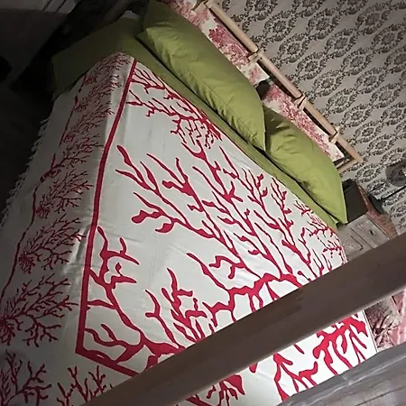 Bed & Breakfast Il Mio Gelso Villanova d'Asti