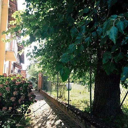 Il Mio Gelso Villanova d'Asti