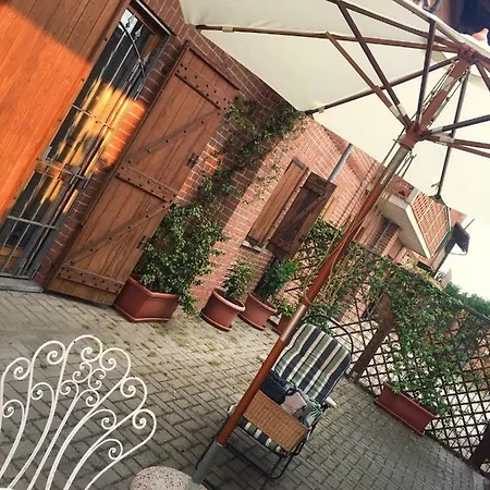 Il Mio Gelso Villanova d'Asti