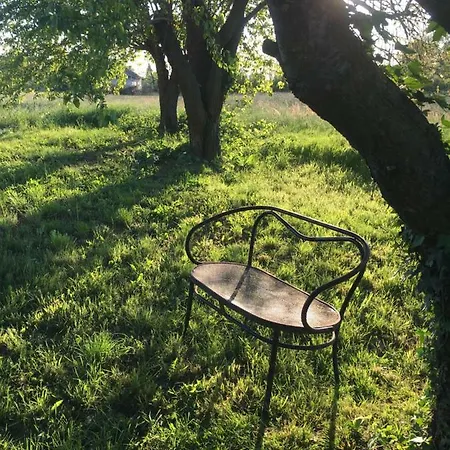 Il Mio Gelso Villanova d'Asti