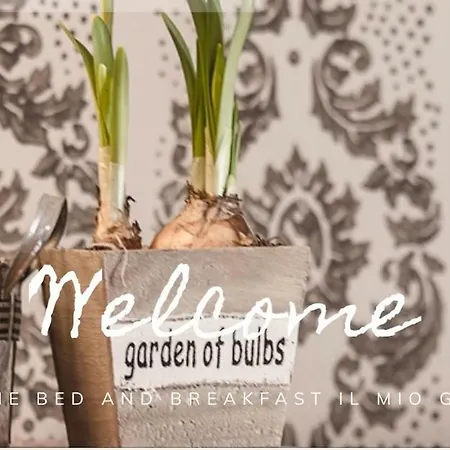 Il Mio Gelso Bed & Breakfast 4*