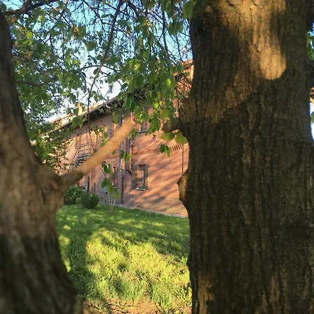 Il Mio Gelso 4* Villanova d'Asti