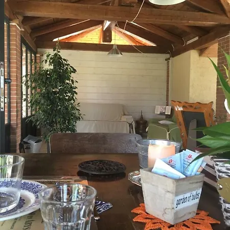 Il Mio Gelso Villanova d'Asti