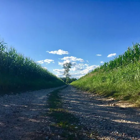 Bed & Breakfast Il Mio Gelso