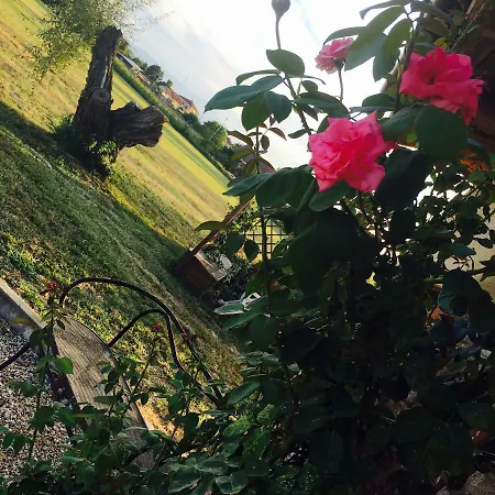 Il Mio Gelso Bed & Breakfast Villanova d'Asti