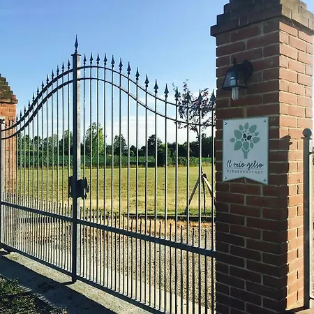 Il Mio Gelso Bed & Breakfast