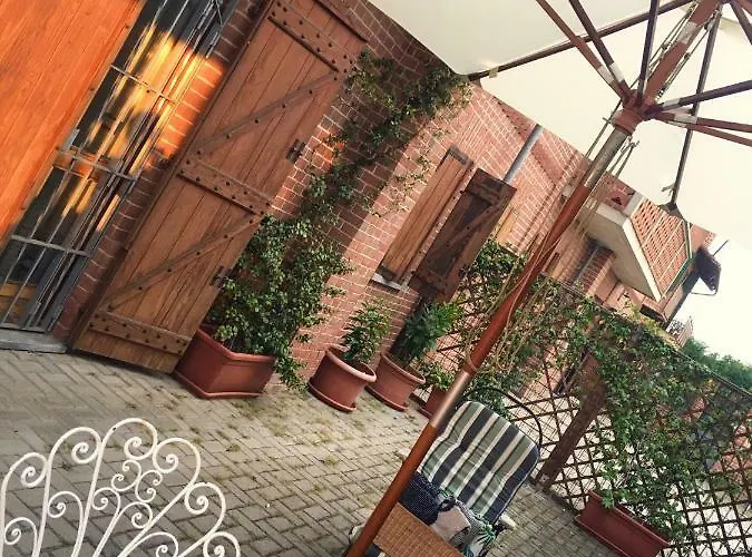 Il Mio Gelso Villanova d'Asti