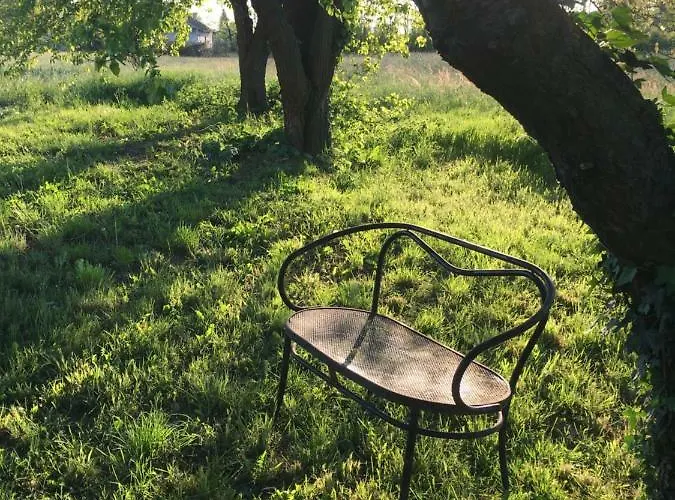 Il Mio Gelso Villanova d'Asti