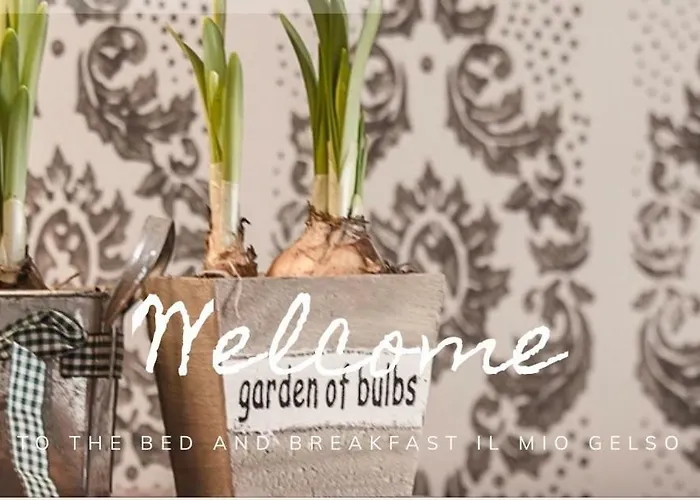 Il Mio Gelso Bed and breakfast 4*