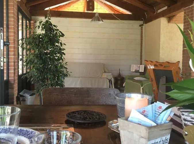 Il Mio Gelso Villanova d'Asti