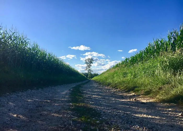 Bed and breakfast Il Mio Gelso