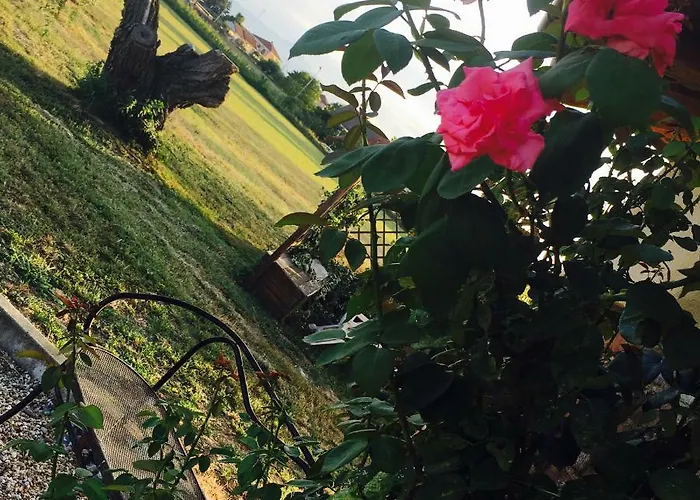 Il Mio Gelso Bed and breakfast Villanova d'Asti