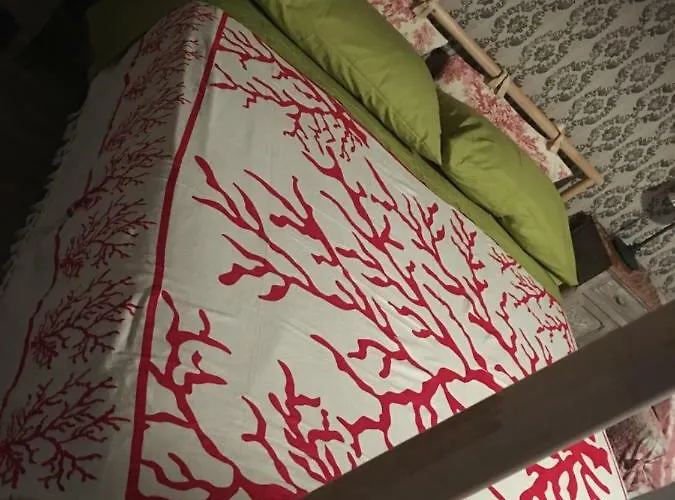 Il Mio Gelso 4* Villanova d'Asti